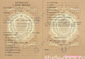 Аттестат 8 классов Аттестат 8 классов в Воронеже