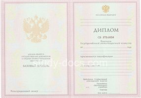 Диплом колледжа 2003-2006 в Воронеже