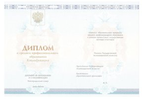 Диплом техникума 2014-2020 в Воронеже